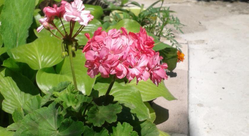 Гостиница Guest House Beregovoy Алушта-24