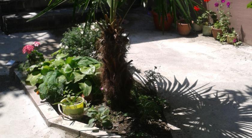 Гостиница Guest House Beregovoy Алушта-22