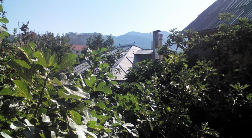 Гостиница Guest House Beregovoy Алушта-12