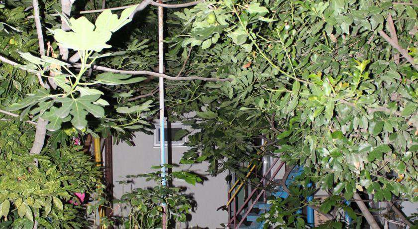 Гостиница Guest House Beregovoy Алушта-57