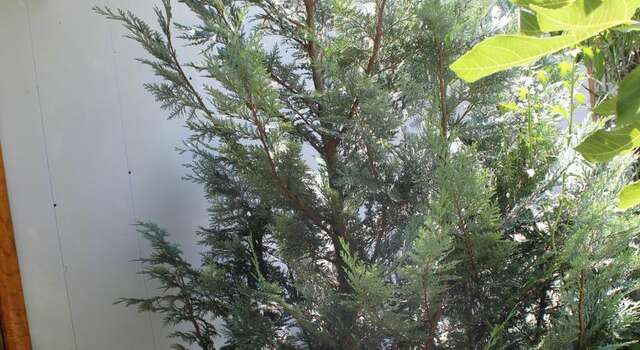 Гостиница Guest House Beregovoy Алушта-63