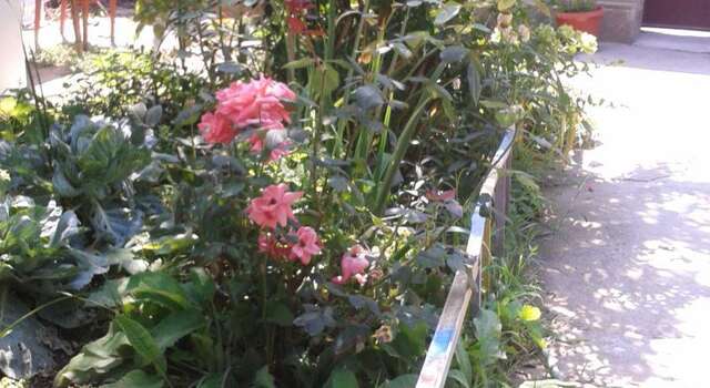 Гостиница Guest House Beregovoy Алушта-26