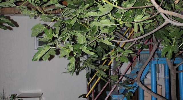 Гостиница Guest House Beregovoy Алушта-57