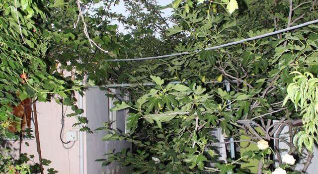 Гостиница Guest House Beregovoy Алушта-49