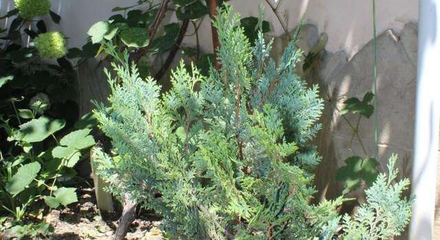 Гостиница Guest House Beregovoy Алушта-60