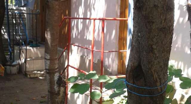 Гостиница Guest House Beregovoy Алушта-24