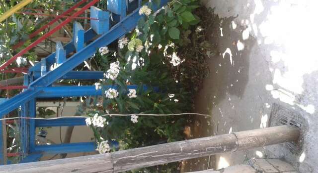 Гостиница Guest House Beregovoy Алушта-14