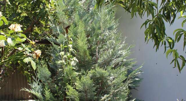 Гостиница Guest House Beregovoy Алушта-64