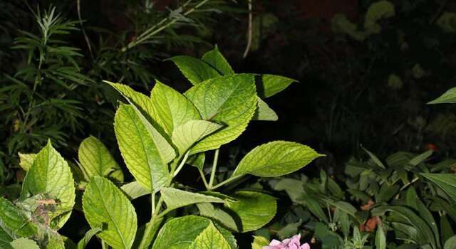 Гостиница Guest House Beregovoy Алушта-47