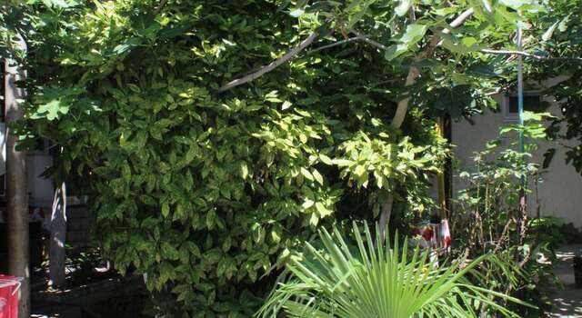 Гостиница Guest House Beregovoy Алушта-59