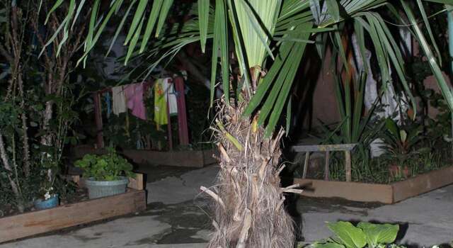 Гостиница Guest House Beregovoy Алушта-54