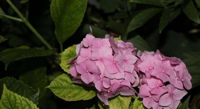 Гостиница Guest House Beregovoy Алушта-48